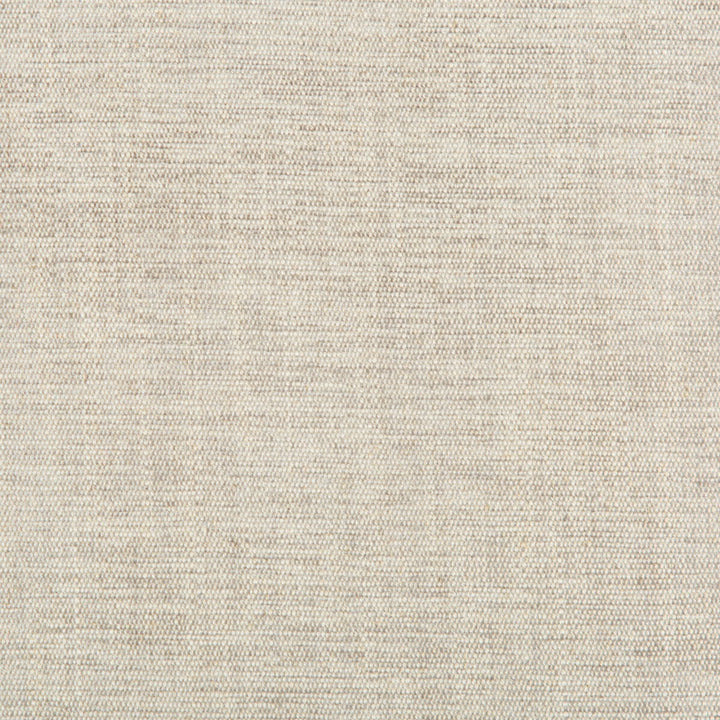 Rutledge Pewter by Kravet Basics Fabric Kravet Basics Fabric Rutledge PewterFabric GREENWICH COLLECTION ACRYLIC CHENILLE - 50%;COTTON - 19%;LINEN - 11%;POLYESTER - 10%;VISCOSE - 10% Turkey </p><p>Repeat: H: , V: 54 - Fabric Carolina -