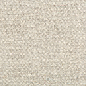 Rutledge Pewter by Kravet Basics Fabric