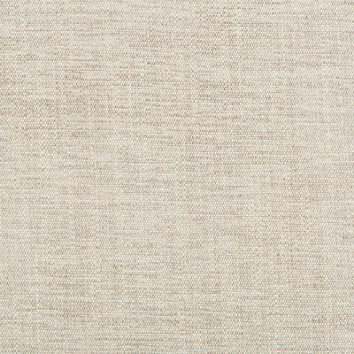 Rutledge Pewter by Kravet Basics Fabric