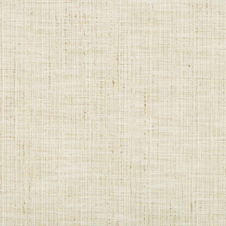35319-16 by Kravet Smart Fabric PERFORMANCE KRAVETARMOR POLYESTER - 66%;COTTON - 34% India HEAVY Horizontal: 13.64 and Vertical: 9.52 54 - Fabric Carolina -
