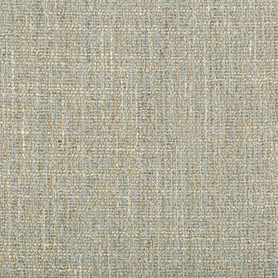 Kravet Smart 35320-1521 by Kravet Smart Fabric