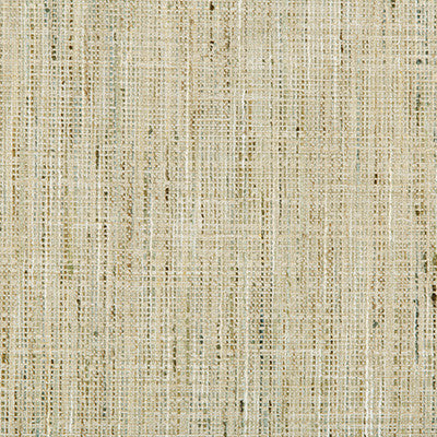 Kravet Smart 35324-123 by Kravet Smart Fabric