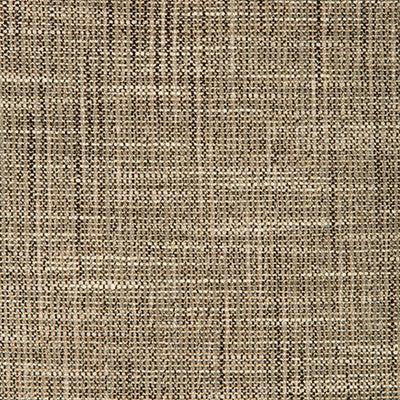 Kravet Smart 35326-816 by Kravet Smart Fabric