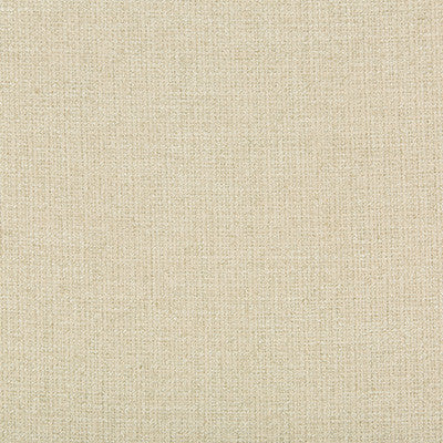 Kravet Smart 35329-111 by Kravet Smart Fabric