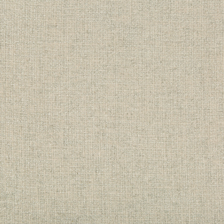 35329-11 by Kravet Smart Fabric PERFORMANCE KRAVETARMOR POLYESTER - 91%;LINEN - 9% India HEAVY Horizontal: 0.91 and Vertical: 1.11 54 - Fabric Carolina -