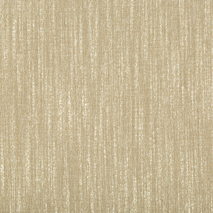 35330-16 by Kravet Smart Fabric PERFORMANCE KRAVETARMOR POLYESTER - 78%;VISCOSE - 22% India HEAVY Horizontal: 13.64 and Vertical: 16.67 53 - Fabric Carolina -