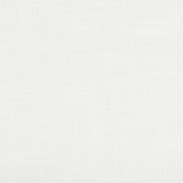 35339-101 by Kravet Basics Fabric LINEN - 68%;COTTON - 32% Brazil LIGHT Horizontal: 0 and Vertical: 0 55 - Fabric Carolina -