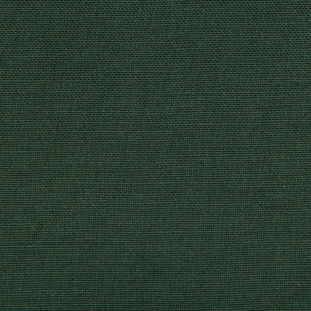 35342-30 by Kravet Basics Fabric LINEN - 100% Belgium HEAVY Horizontal: 0 and Vertical: 0 53 - Fabric Carolina -