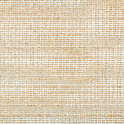Saddlebrook Sand by Kravet Basics Fabric