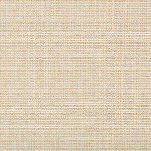 Saddlebrook Sand by Kravet Basics Fabric