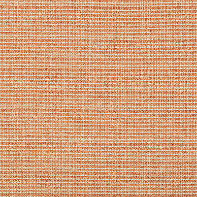 Saddlebrook Terracotta by Kravet Basics Fabric