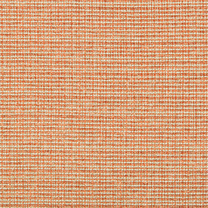 Saddlebrook Terracotta by Kravet Basics Fabric