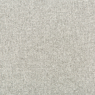 Tweedford Grey by Kravet Basics Fabric