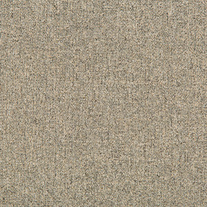 Tweedford Linen by Kravet Basics Fabric