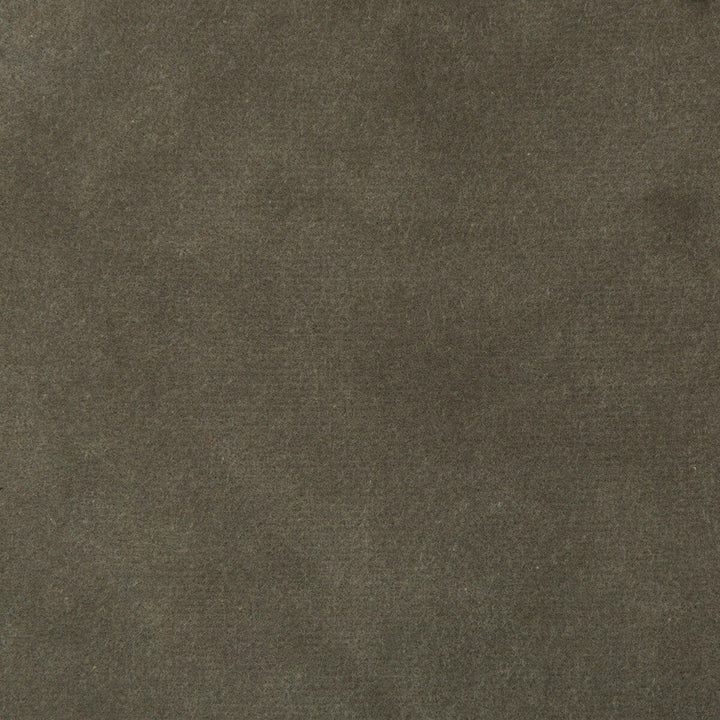 Kravet Design 35366-1121 by Kravet Design Fabric Kravet Design Fabric Kravet Design 35366-1121Fabric COTTON - 100% Netherlands </p><p>Repeat: H: 0, V: 0 55 - Fabric Carolina -