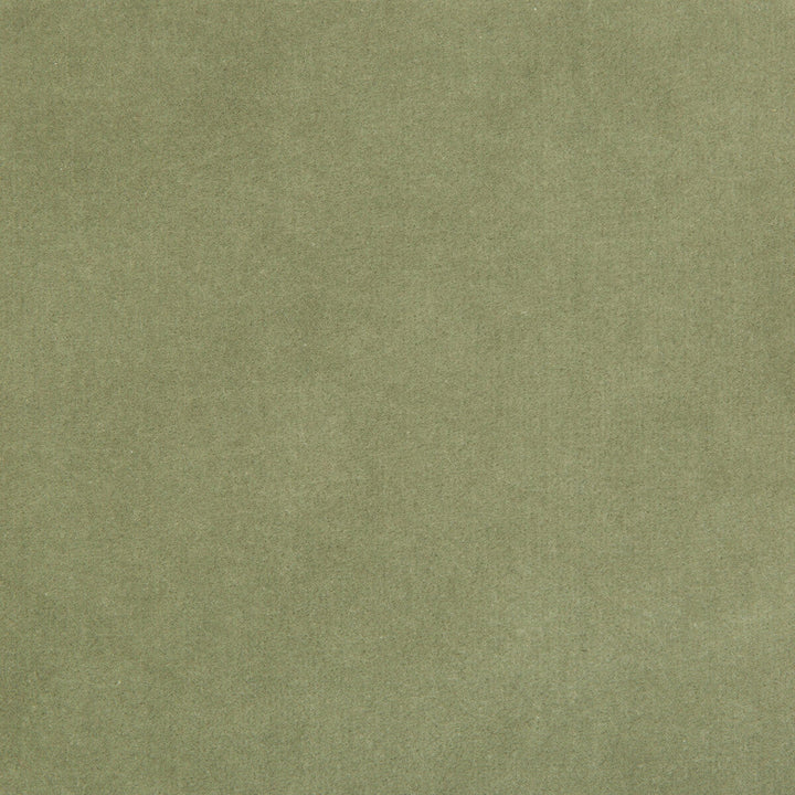 35366-113 by Kravet Design Designer Fabric - COTTON - 100% Netherlands HEAVY Horizontal: 0 and Vertical: 0 55 - Swanky Fabrics -