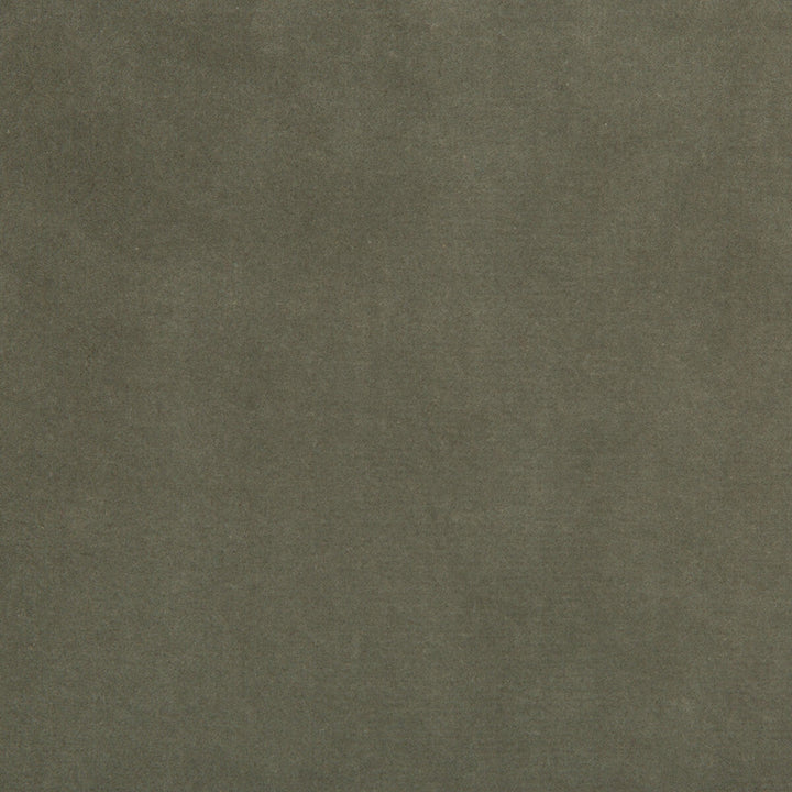 35366-11 by Kravet Design Designer Fabric COTTON - 100% Netherlands HEAVY Horizontal: 0 and Vertical: 0 55 - Swanky Fabrics -