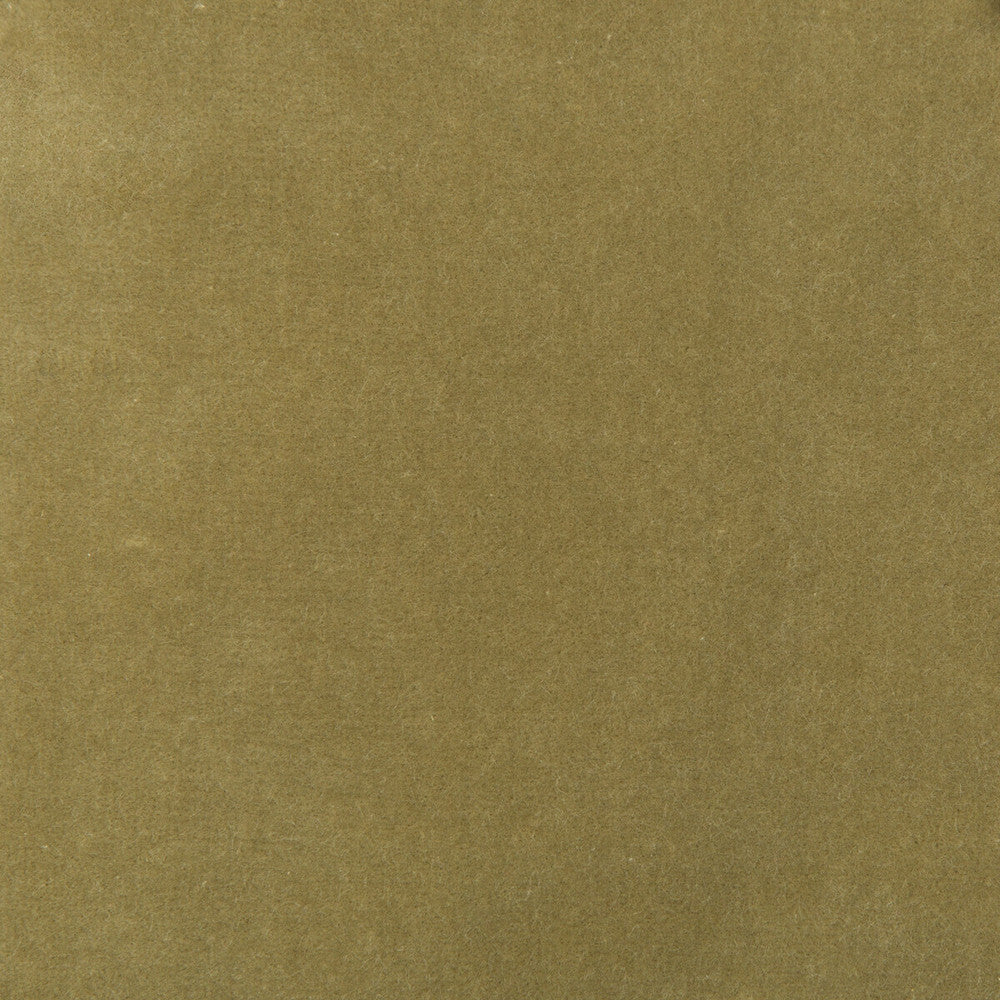 35366-130 by Kravet Design Fabric - COTTON - 100% Netherlands HEAVY Horizontal: 0 and Vertical: 0 55 - Fabric Carolina -