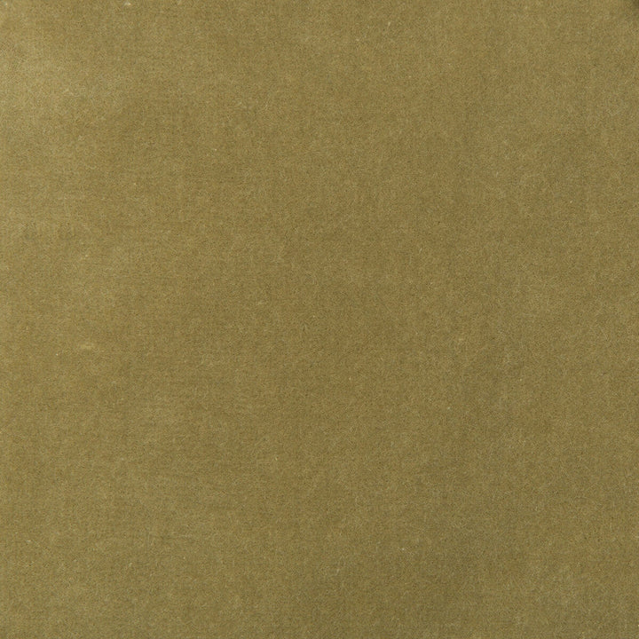 Kravet Design 35366-130 by Kravet Design Fabric Kravet Design Fabric Kravet Design 35366-130Fabric COTTON - 100% Netherlands </p><p>Repeat: H: 0, V: 0 55 - Fabric Carolina -