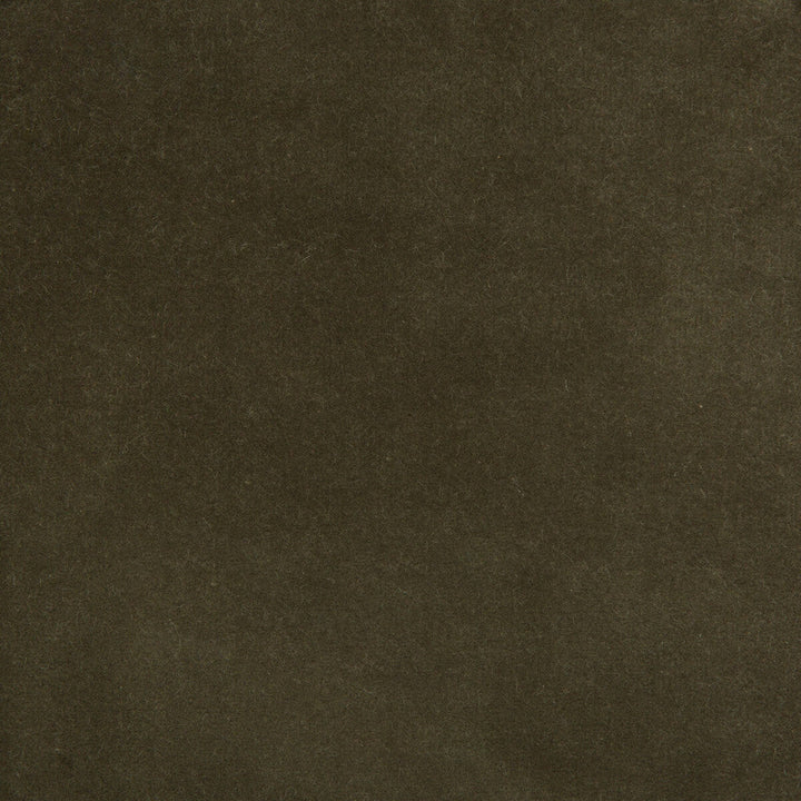 Kravet Design 35366-2111 by Kravet Design Fabric Kravet Design Fabric Kravet Design 35366-2111 Fabric COTTON - 100% Netherlands </p><p>Repeat: H: 0, V: 0 55 - Fabric Carolina -