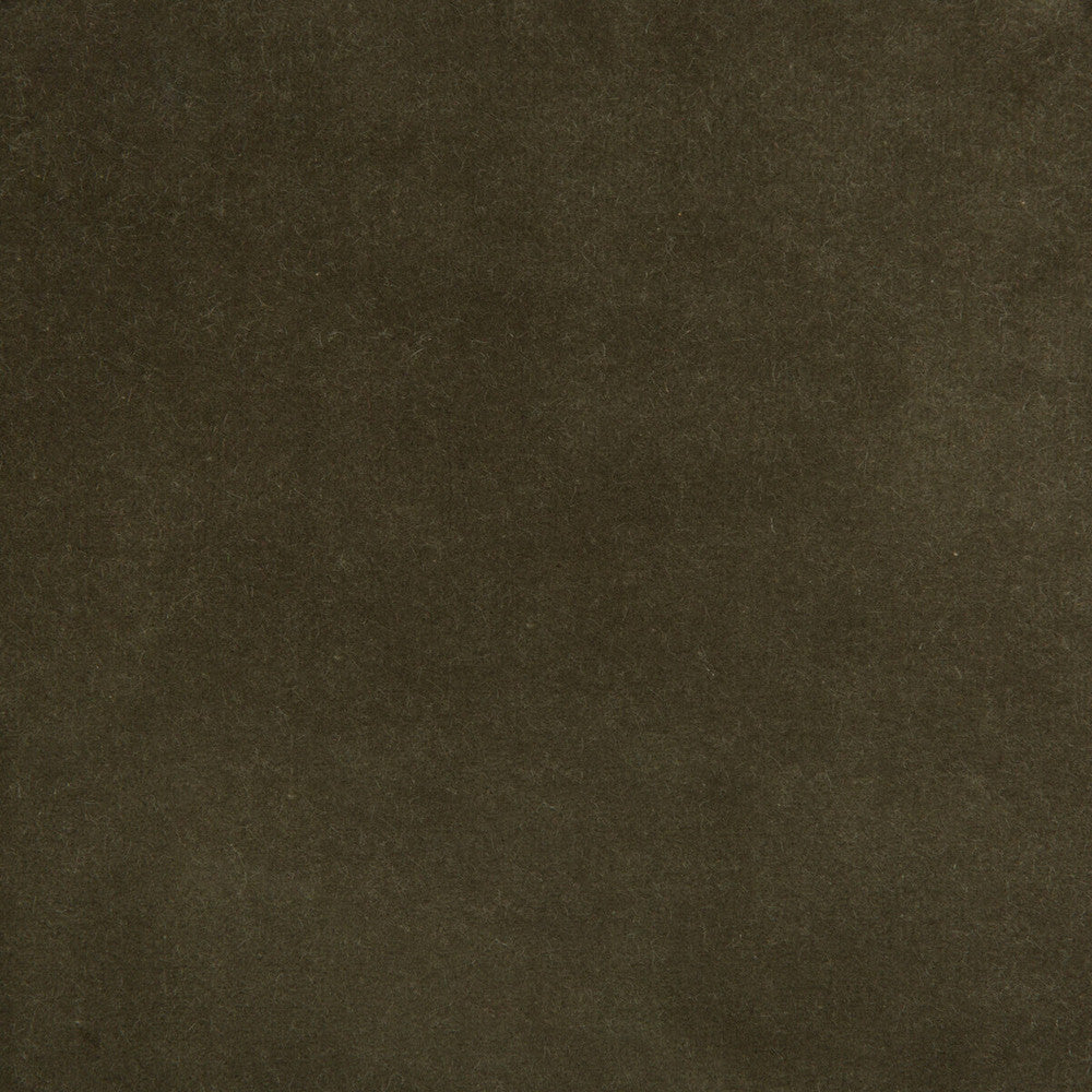 35366-2111 by Kravet Design Designer Fabric COTTON - 100% Netherlands HEAVY Horizontal: 0 and Vertical: 0 55 - Swanky Fabrics -