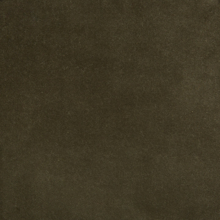 35366-2111 by Kravet Design Fabric - COTTON - 100% Netherlands HEAVY Horizontal: 0 and Vertical: 0 55 - Fabric Carolina -