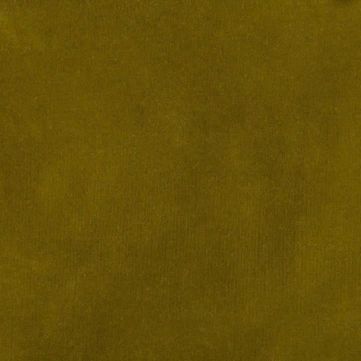 35366-304 by Kravet Design Designer Fabric COTTON - 100% Netherlands HEAVY Horizontal: 0 and Vertical: 0 55 - Swanky Fabrics -