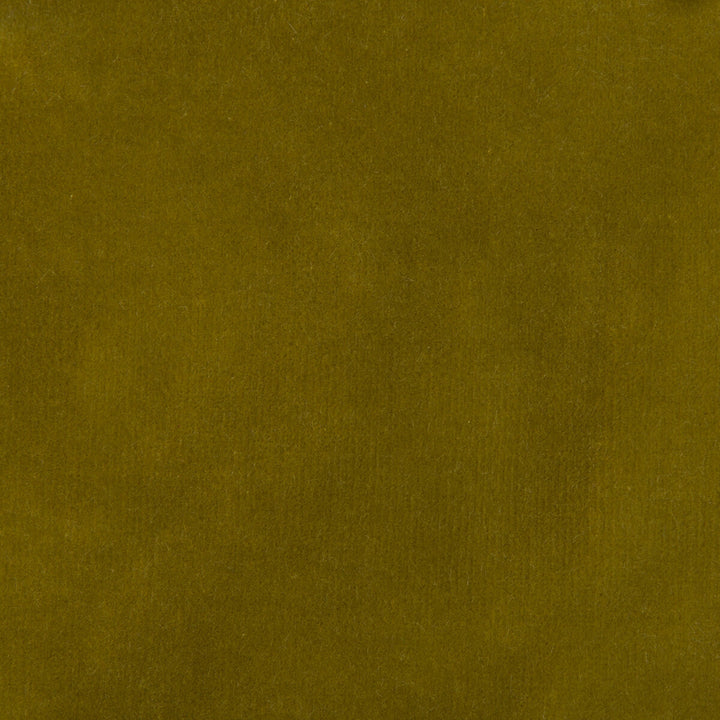 35366-304 by Kravet Design Fabric COTTON - 100% Netherlands HEAVY Horizontal: 0 and Vertical: 0 55 - Fabric Carolina -