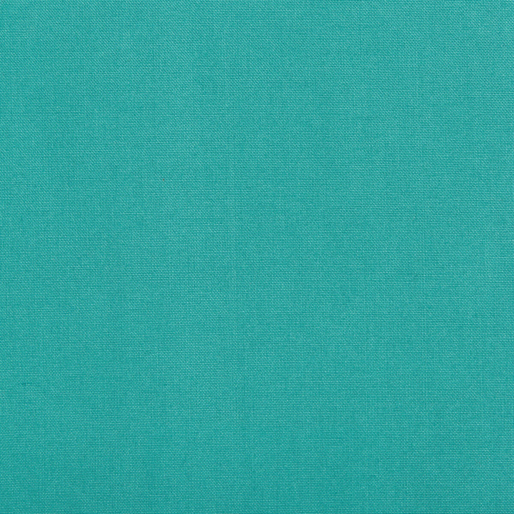 Kf Bas:: by Kravet Basics Fabric PERFORMANCE INDOOR OUTDOOR POLYESTER - 100% Taiwan HEAVY Horizontal: 0 and Vertical: 0 54 - Fabric Carolina -