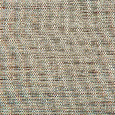Granulated Mist by Kravet Design Fabric