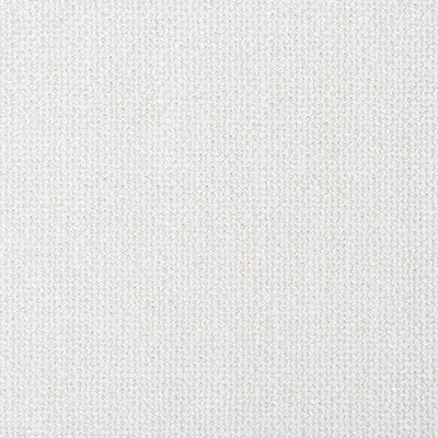 Kravet Smart 35379-101 by Kravet Smart Fabric