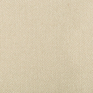 Kravet Smart 35379-111 by Kravet Smart Fabric