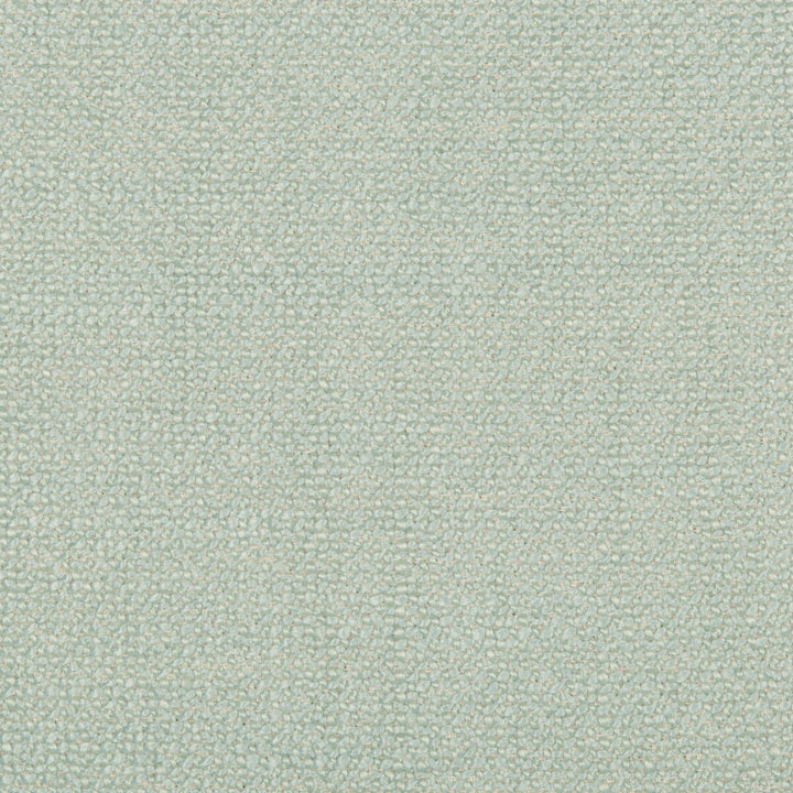 35379-1135 by Kravet Smart Fabric PERFORMANCE KRAVETARMOR POLYESTER - 50%;ACRYLIC - 40%;COTTON - 10% China HEAVY Horizontal: 0 and Vertical: 0 56 - Fabric Carolina -