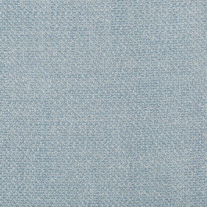35379-115 by Kravet Smart Fabric PERFORMANCE KRAVETARMOR POLYESTER - 50%;ACRYLIC - 40%;COTTON - 10% China HEAVY Horizontal: 0 and Vertical: 0 56 - Fabric Carolina -