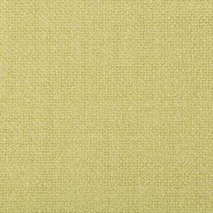 Kravet Smart 35379-123 by Kravet Smart Fabric