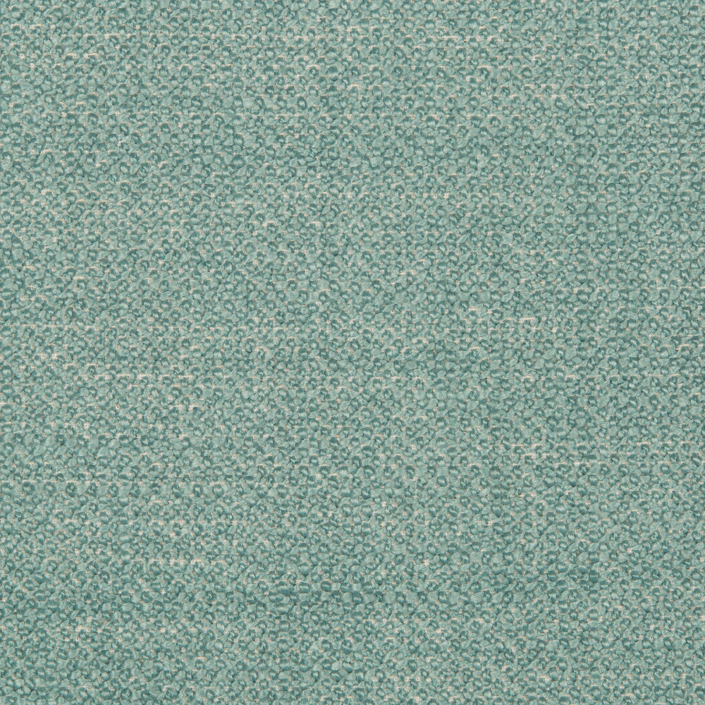 35379-135 by Kravet Smart Fabric PERFORMANCE KRAVETARMOR POLYESTER - 50%;ACRYLIC - 40%;COTTON - 10% China HEAVY Horizontal: 0 and Vertical: 0 56 - Fabric Carolina -