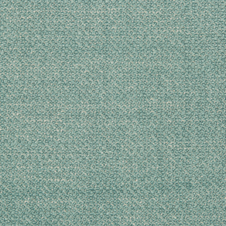 35379-135 by Kravet Smart Fabric PERFORMANCE KRAVETARMOR POLYESTER - 50%;ACRYLIC - 40%;COTTON - 10% China HEAVY Horizontal: 0 and Vertical: 0 56 - Fabric Carolina -
