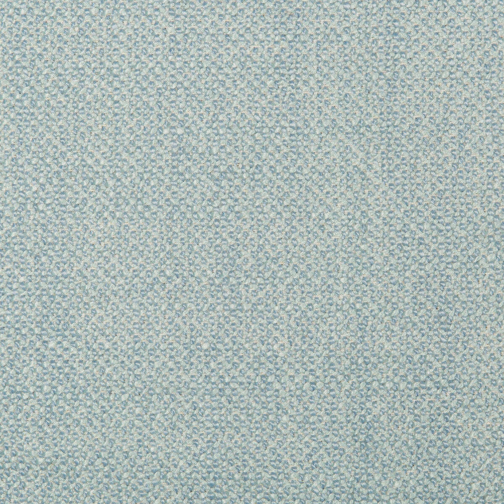 35379-15 by Kravet Smart Fabric PERFORMANCE KRAVETARMOR POLYESTER - 50%;ACRYLIC - 40%;COTTON - 10% China HEAVY Horizontal: 0 and Vertical: 0 56 - Fabric Carolina -