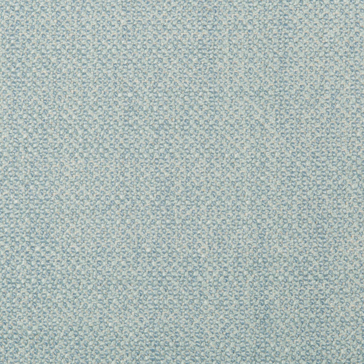 35379-15 by Kravet Smart Fabric PERFORMANCE KRAVETARMOR POLYESTER - 50%;ACRYLIC - 40%;COTTON - 10% China HEAVY Horizontal: 0 and Vertical: 0 56 - Fabric Carolina -