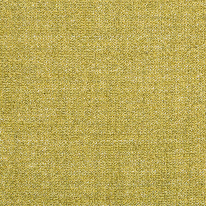35379-23 by Kravet Smart Fabric PERFORMANCE KRAVETARMOR POLYESTER - 50%;ACRYLIC - 40%;COTTON - 10% China HEAVY Horizontal: 0 and Vertical: 0 56 - Fabric Carolina -