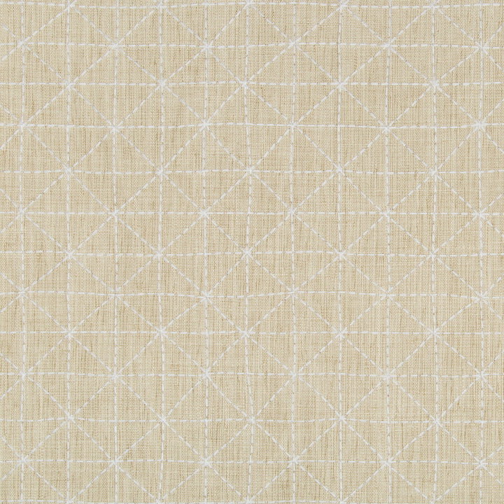 Appointed Papyrus by Kravet Design Fabric NATE BERKUS WELL-TRAVELED POLYESTER - 42%;COTTON - 20%;LINEN - 19%;VISCOSE - 19% India - Horizontal: 2.76 and Vertical: 2.76 50 - Fabric Carolina -
