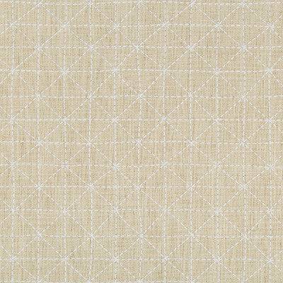 Appointed Papyrus by Kravet Design Fabric