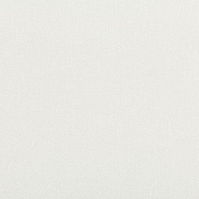 Kravet Smart 35391-101 by Kravet Smart Fabric