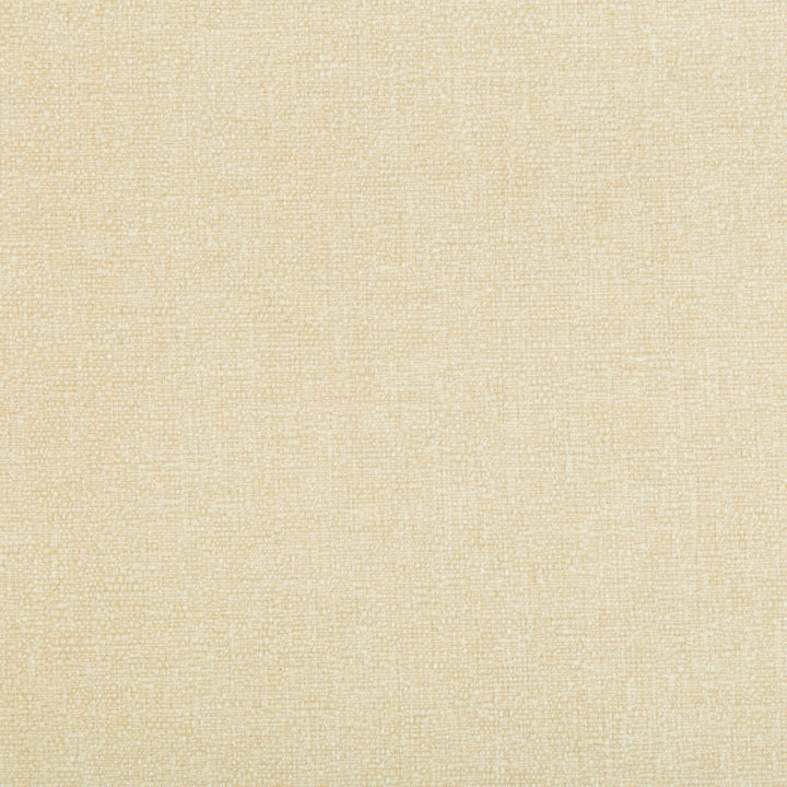 35391-116 by Kravet Smart Fabric PERFORMANCE CRYPTON HOME POLYESTER - 100% China HEAVY Horizontal: and Vertical: 54 - Fabric Carolina -