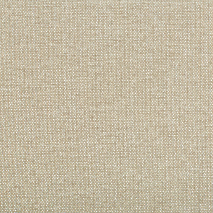 35393-116 by Kravet Smart Designer Fabric PERFORMANCE CRYPTON HOME POLYESTER - 100% China HEAVY Horizontal: and Vertical: 54 - Swanky Fabrics -