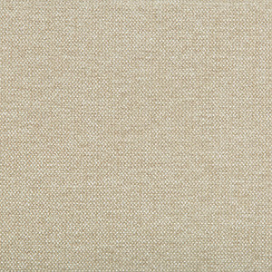 Kravet Smart 35393-116 by Kravet Smart Fabric