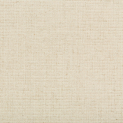 Kravet Smart 35395-116 by Kravet Smart Fabric