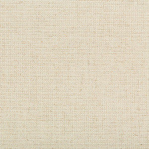 Kravet Smart 35395-116 by Kravet Smart Fabric