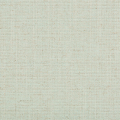 Kravet Smart 35395-13 by Kravet Smart Fabric