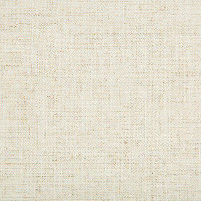 Kravet Smart 35395-1 by Kravet Smart Fabric
